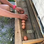 Haus Sonnleitner Apartament Ramsau am Dachstein