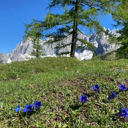 Haus Sonnleitner ラムサウ・アム・ダッハシュタイン
