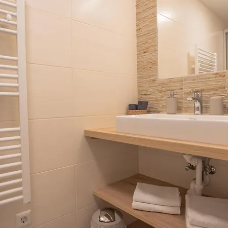 Haus Sonnleitner アパート ラムサウ・アム・ダッハシュタイン