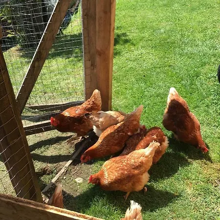 Haus Sonnleitner Appartement