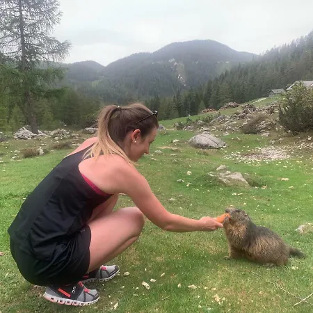 Haus Sonnleitner Ramsau am Dachstein