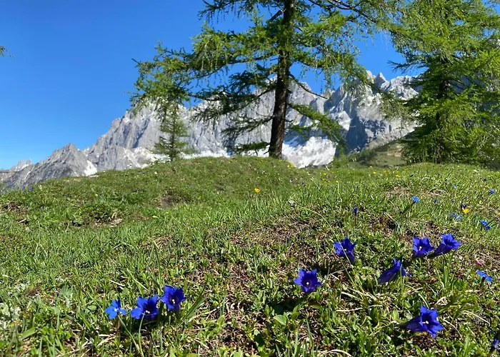 Haus Sonnleitner 람자우 암 다흐스타인