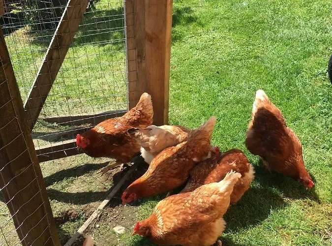 Haus Sonnleitner 아파트