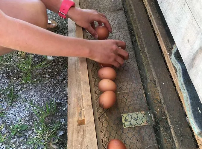 Haus Sonnleitner Lägenhet Ramsau am Dachstein