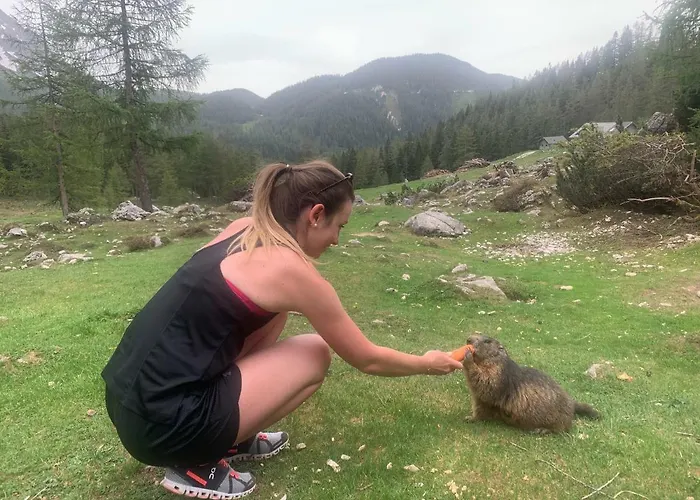 Haus Sonnleitner 람자우 암 다흐스타인